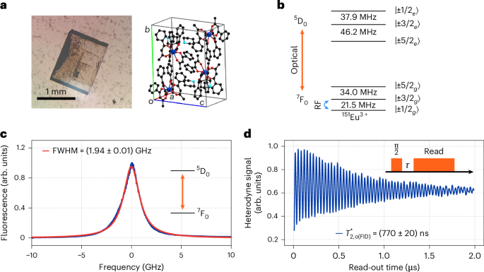 Optically detected nuclear magnetic resonance of coherent spins in a molecular complex - Nature Materials