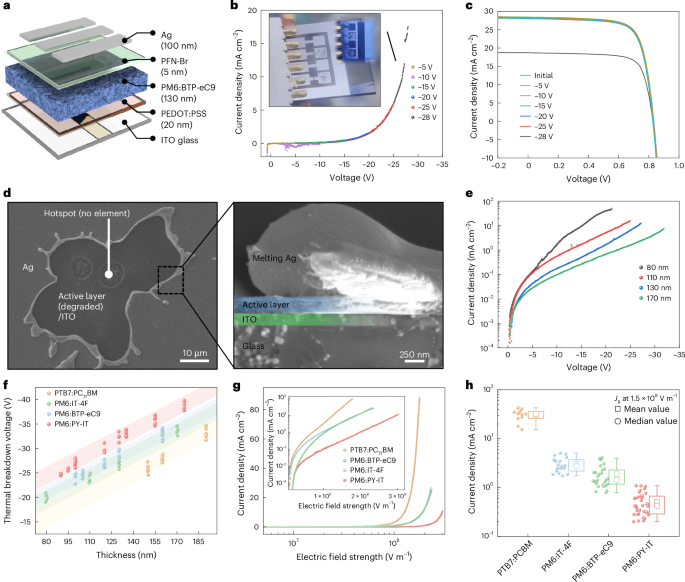 Perovskite–organic tandem solar cells with superior reverse-bias stability