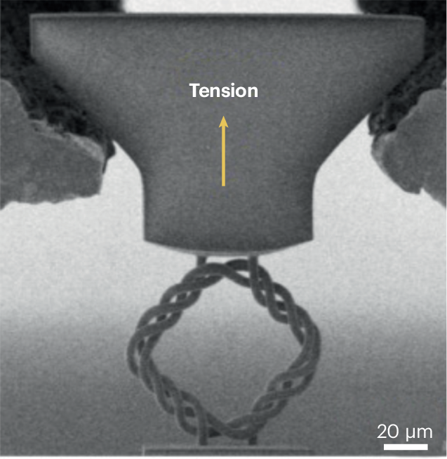 nature.com - Tracking microstructure and mechanical response - Nature Materials