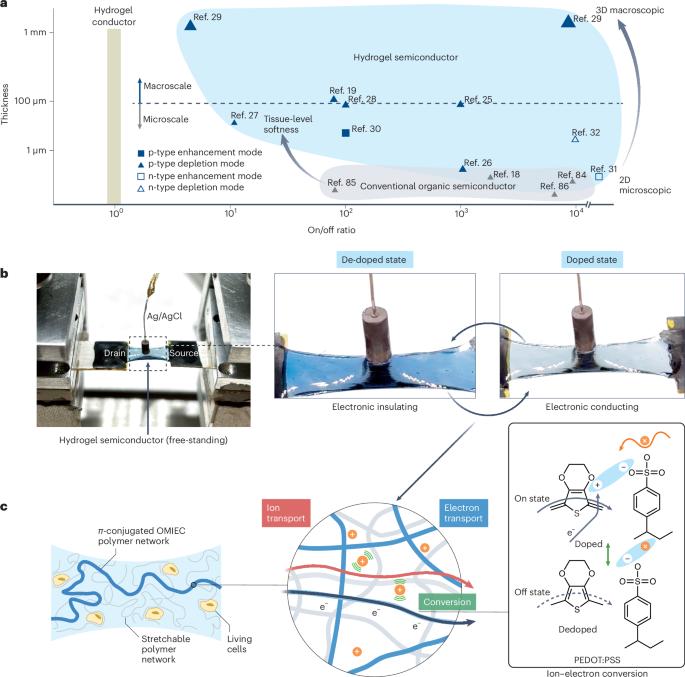 nature.com - Design principles for π-conjugated hydrogel semiconductors - Nature Materials