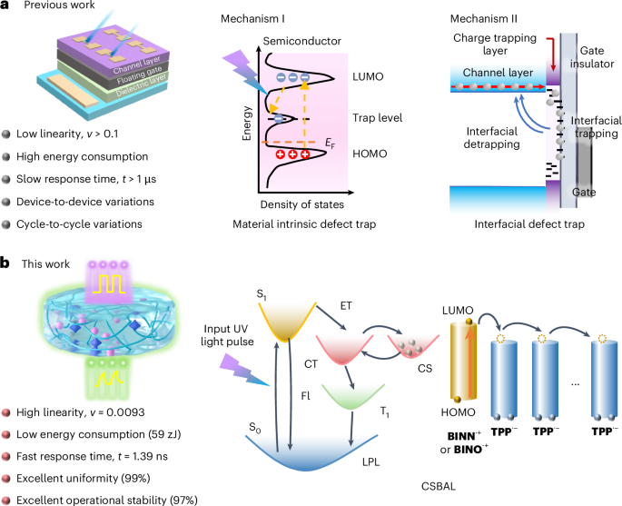 Organic synapses with programmable linearity for neuromorphic computing