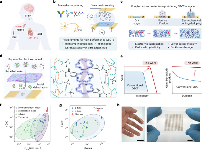 Kuva