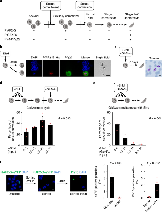 Monoclonal Antibody Nomenclature Chart