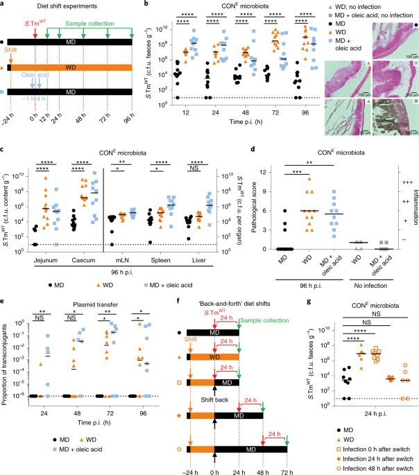 Escherichia Coli Limits Salmonella Typhimurium Infections After Diet Shifts And Fat Mediated Microbiota Perturbation In Mice Nature Microbiology