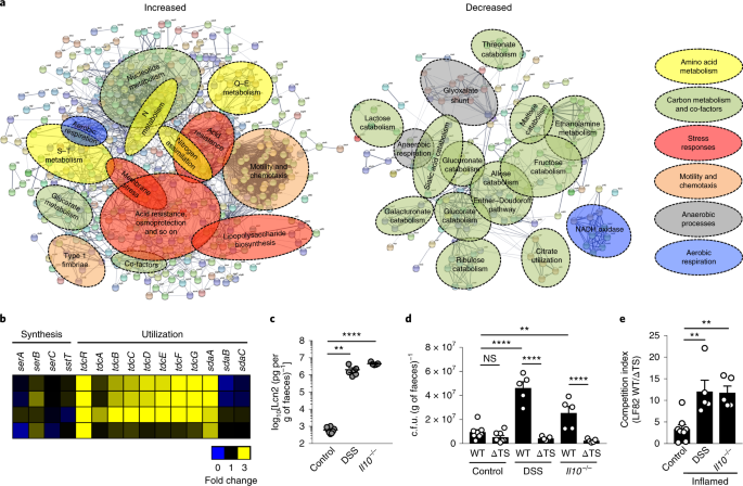 Dietary L Serine Confers A Competitive Fitness Advantage To Enterobacteriaceae In The Inflamed Gut Nature Microbiology Dietary L Serine Confers A Competitive Fitness Advantage To Enterobacteriaceae In The Inflamed Gut Nature Microbiology