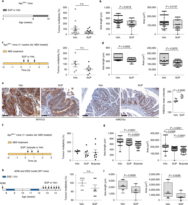 Sodium butyrate alleviates R97-116 peptide-induced myasthenia