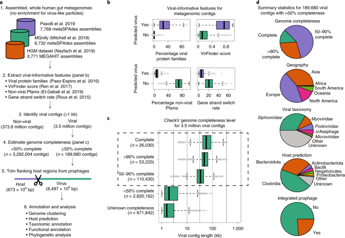 Metagenomic compendium of 189,680 DNA viruses from the human gut microbiome