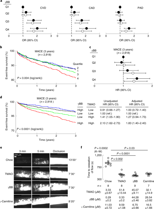 does mega l-carnitine cause blood to clot Comparison of short-term and long-term effects of peroral intake: clinical implications of elevated TMAO levels in cardiovascular complications L-Carnitine | Linus Pauling Institute