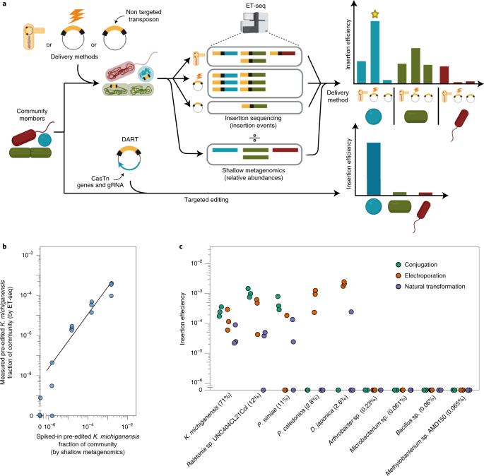 Species- and site-specific genome editing in complex bacterial communities - Nature.com