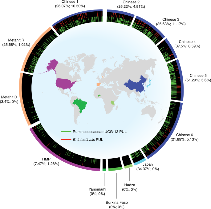 Mechanistic insights into consumption of the food additive xanthan gum by  the human gut microbiota