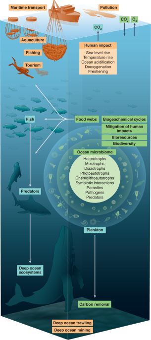 Priorities for ocean microbiome research - Nature.com