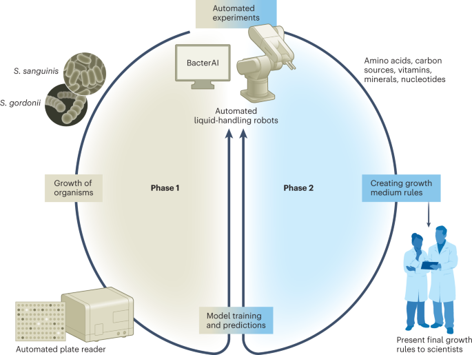                               Nature Microbiology                          volume  8, pages  1004–1005 (2023 )Cite this article                   