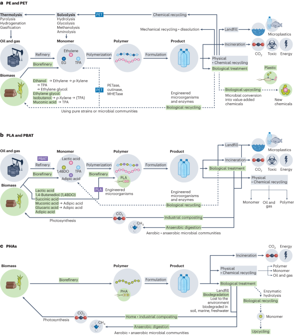 Sustainable production and degradation of plastics using microbes - Nature.com