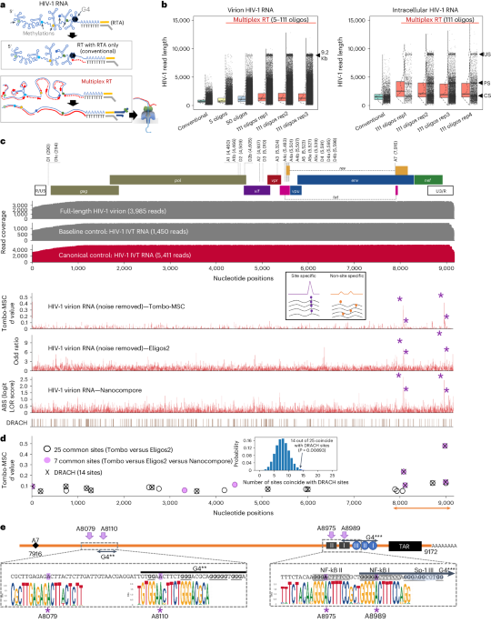 Single-molecule epitranscriptomic analysis of full-length HIV-1 RNAs reveals functional roles of sit