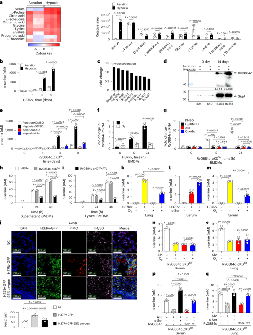glutathione tansferase in mycobacterium Targeting the Heart of Mycobacterium: Advances Anti-Tubercular Agents Disrupting Cell Wall Biosynthesis Glutathione Transferase - an overview