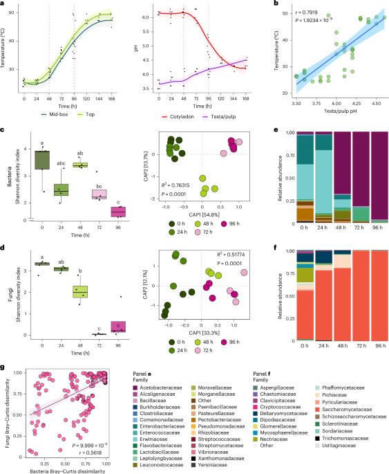 A defined microbial community reproduces attributes of fine flavour chocolate fermentation