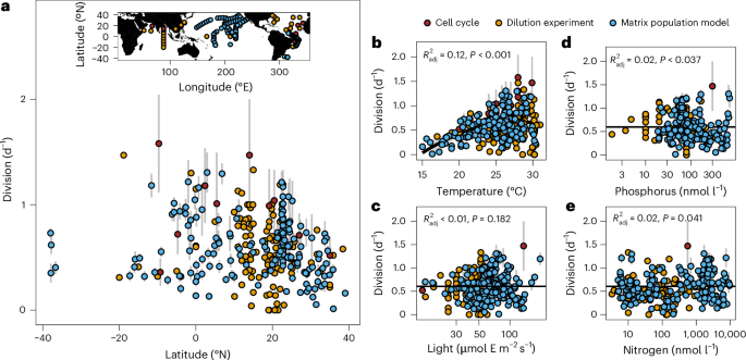 Future ocean warming may cause large reductions in Prochlorococcus biomass and productivity