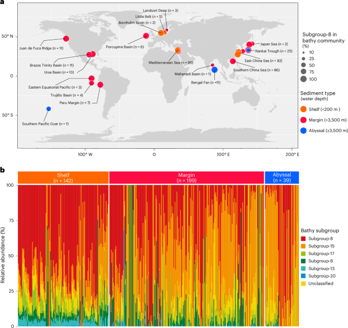A dominant subgroup of marine Bathyarchaeia assimilates organic and inorganic carbon into unconventional membrane lipids