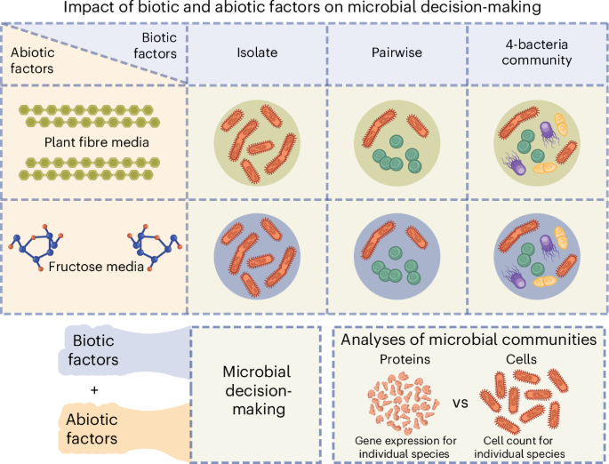 Community context reshapes microbial proteomes and reduces functional overlap