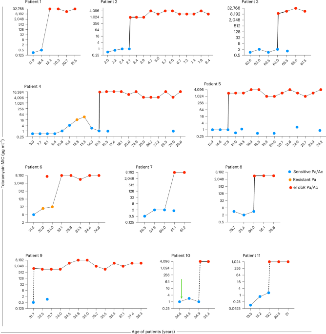 Within-patient gene transfer between transiently and chronically infecting bacteria causes extreme antibiotic resistance during lung infections - Nature