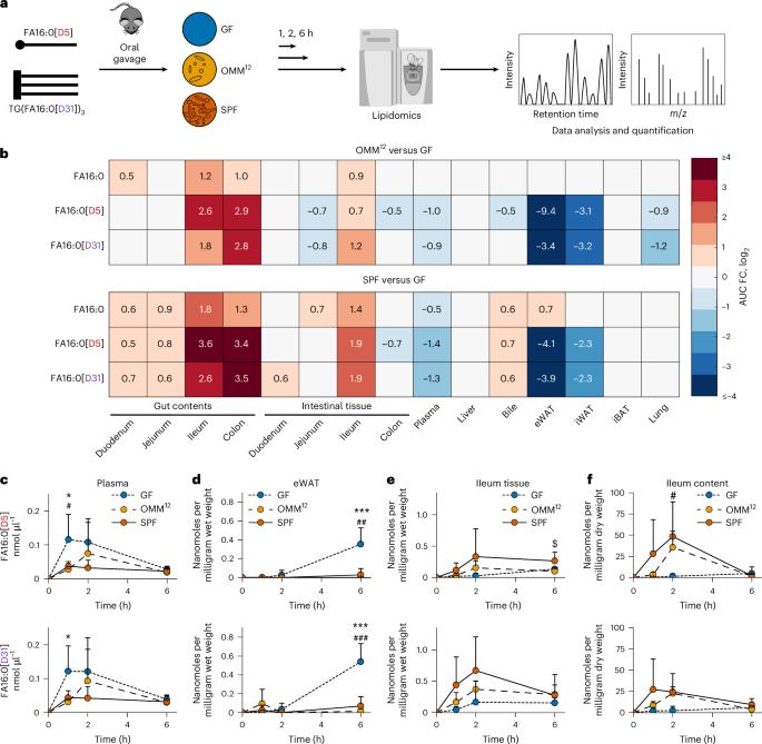 Gut microbiota restricts intestinal lipid uptake via modulation of bile phosphatidylcholine metabolism in mice - Nature