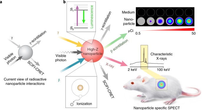 Nanoparticles as multimodal photon transducers of ionizing radiation |  Nature Nanotechnology