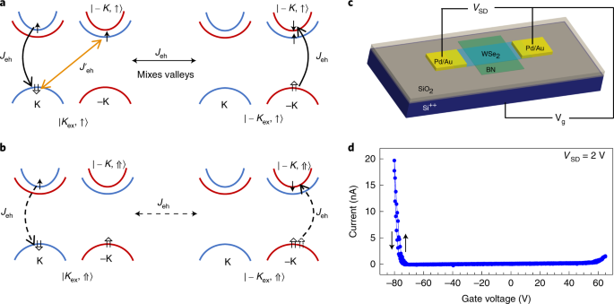 QnA VBage Optical initialization of a single spin-valley in charged WSe 2 quantum dots