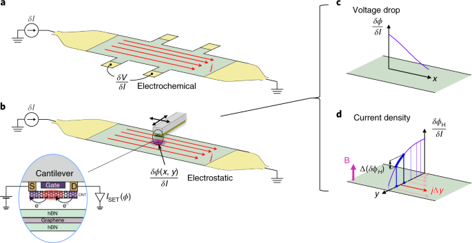 Simultaneous voltage and current density imaging of flowing 