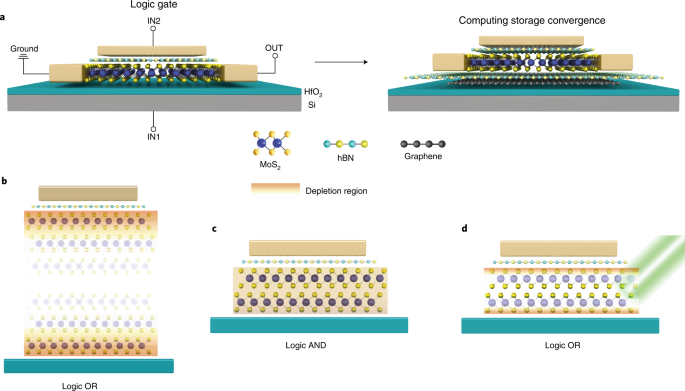Fused computing and storage in a 2D transistor | Nature Nanotechnology