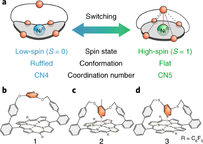 Reversible coordination-induced spin-state switching in complexes on metal  surfaces | Nature Nanotechnology