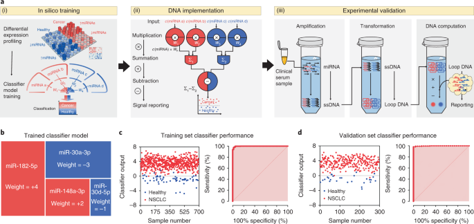 Cancer diagnosis with DNA molecular computation | Nature 