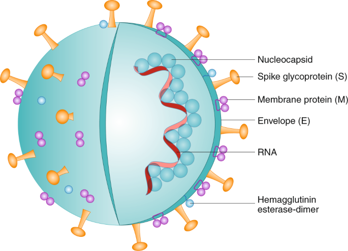 Immune Mediated Approaches Against Covid 19 Nature Nanotechnology