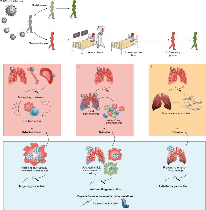 Dexamethasone nanomedicines for COVID-19 | Nature Nanotechnology