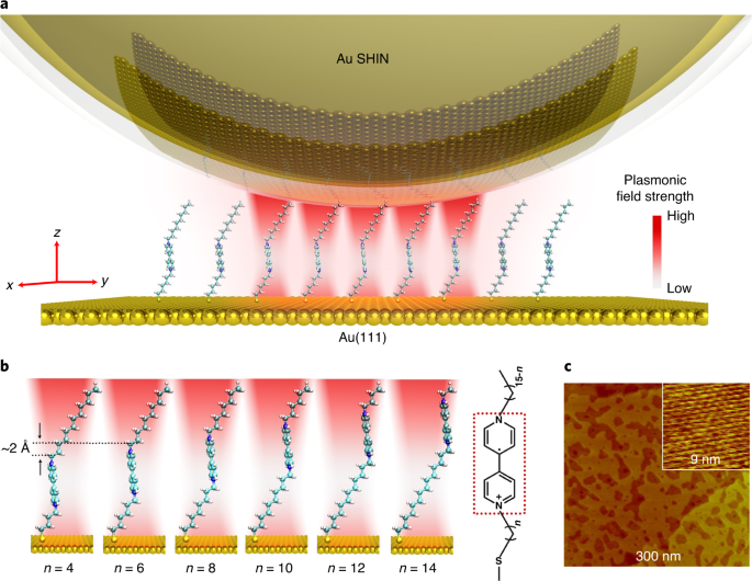 Observation Of Inhomogeneous Plasmonic Field Distribution In A Nanocavity Nature Nanotechnology