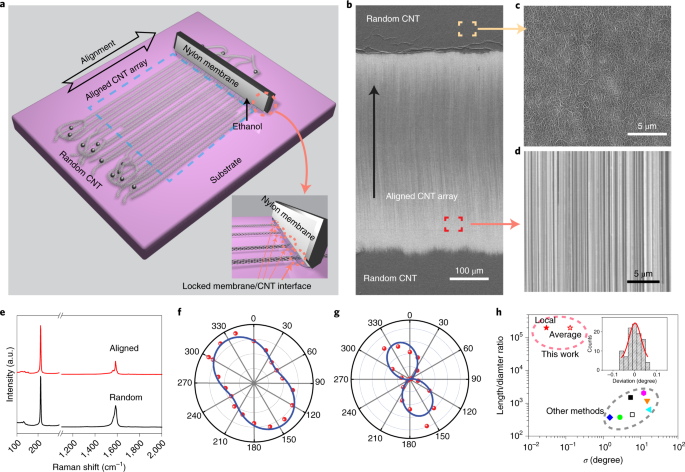 Soft-lock drawing of super-aligned carbon nanotube bundles for nanometre  electrical contacts