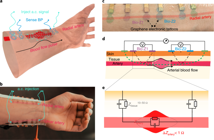 Cuffless Blood Pressure Monitors: Principles, Standards and