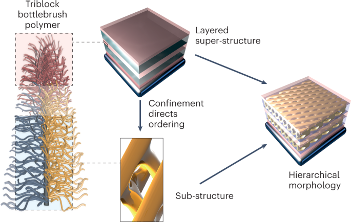 Spontaneous assembly of hierarchical phases