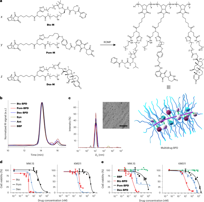 Molecular bottlebrush prodrugs as mono- and triplex combination therapies for multiple myeloma