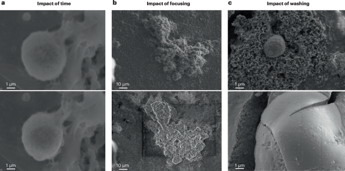 The challenge of studying interfaces in battery materials | Nature ...