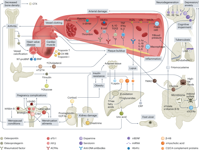 Wearable biomolecular sensing nanotechnologies in chronic disease management