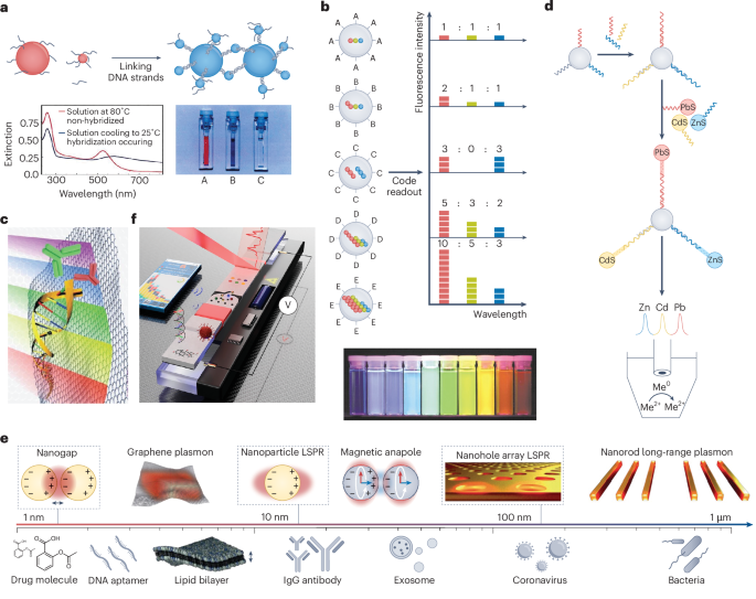 Towards the next generation of nanobiosensors