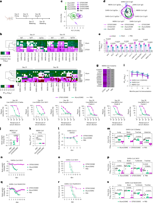 Precision-engineered STING agonist nanoparticles enable coordinated mucosal-systemic immunity for durable pan-β-coronavirus protection Precision-engineered STING agonist nanoparticles enable coordinated mucosal-systemic immunity for durable pan-β-coronavirus protection