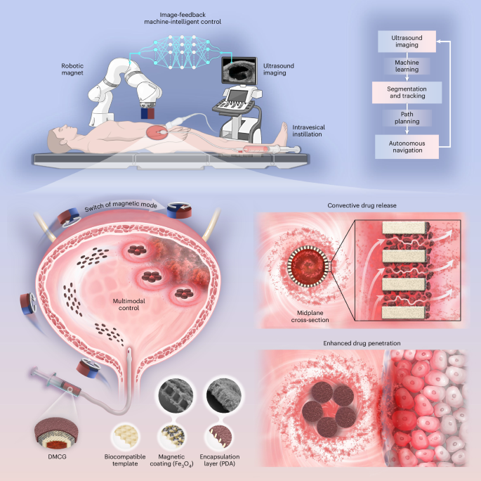 Machine-intelligent multimodal algebot for intracavitary chemotherapy