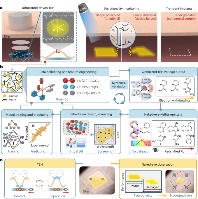 Bioresorbable and optically readable triboelectric implants enabled by nanoscale iridophosphors | Nature Nanotechnology