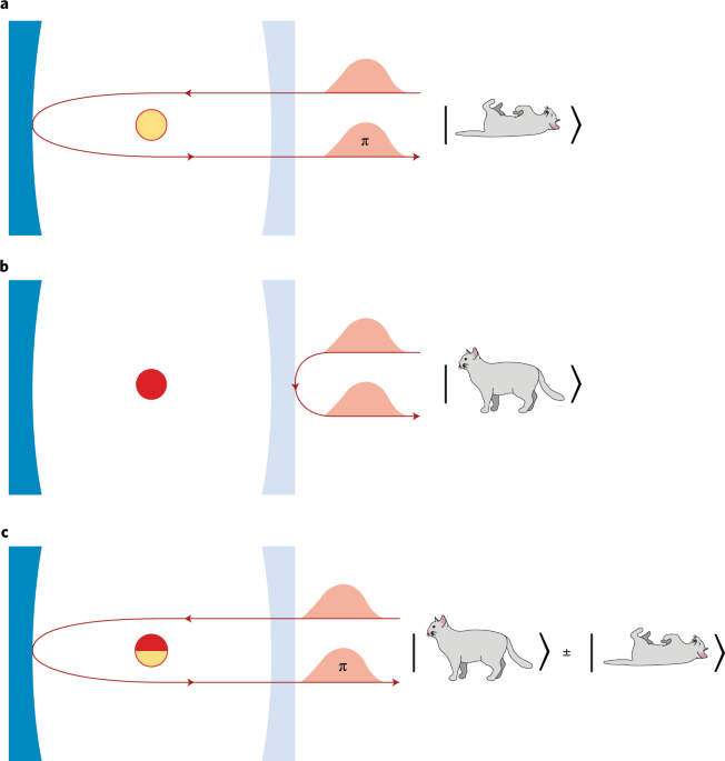 Creating schrödinger-cat states