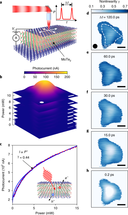 Electron Hole Liquid In A Van Der Waals Heterostructure