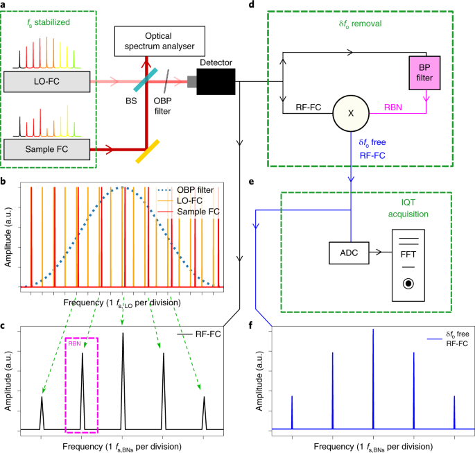 Retrieval of phase relation and emission profile of quantum cascade laser frequency combs