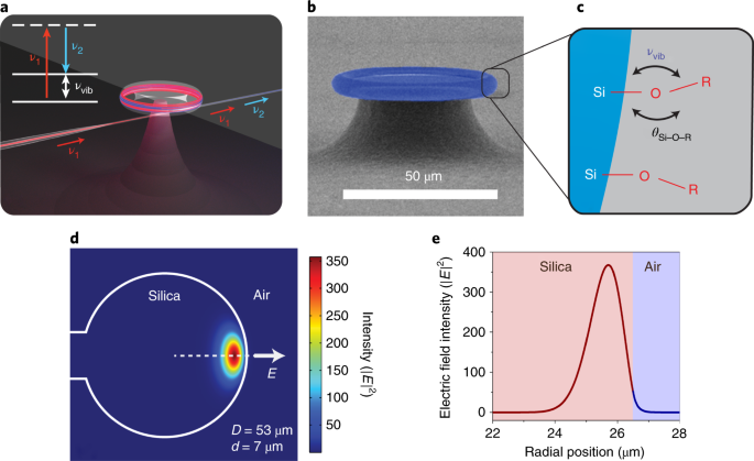 Raman laser from an optical resonator with a grafted single-molecule  monolayer | Nature Photonics