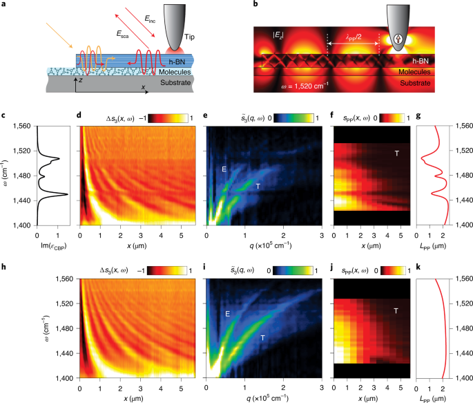 Real-space observation of vibrational strong coupling between propagating  phonon polaritons and organic molecules | Nature Photonics