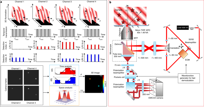 Nanometric Axial Localization Of Single Fluorescent Molecules With Modulated Excitation Nature Photonics